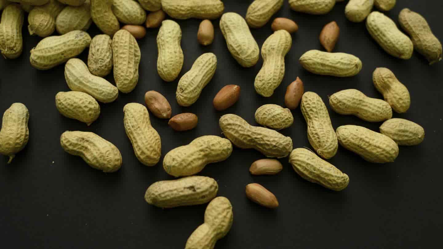 تصویر 3 از انواع بادام زمینی ریز خام با ادویه مخصوص و کیفیت یکنواخت